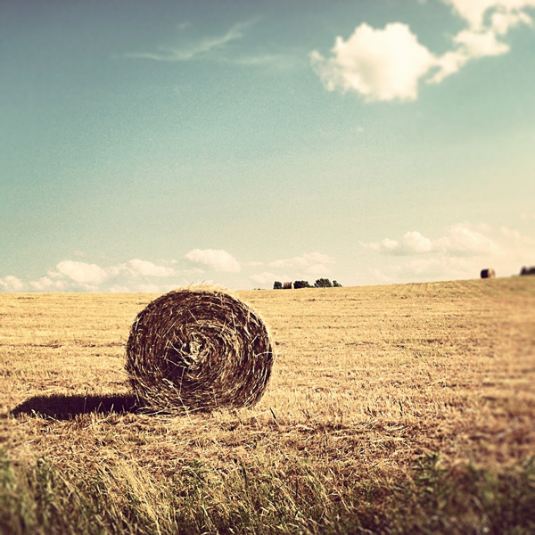 Round Hay Bale Photo Tile