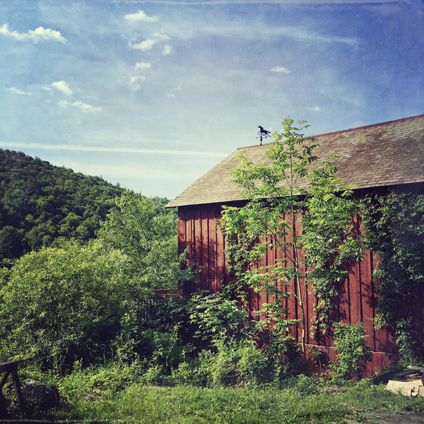 Weather Vane Barn Photo Tile