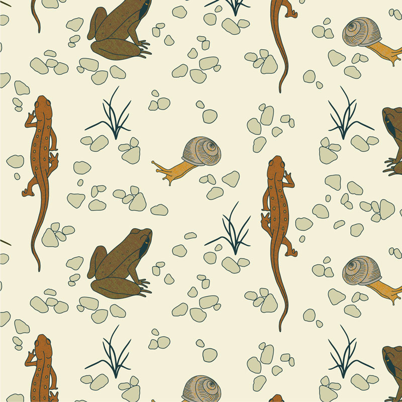 red eft, wood frog, and snail tile