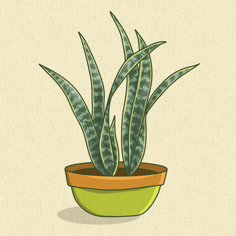 snake plant tile