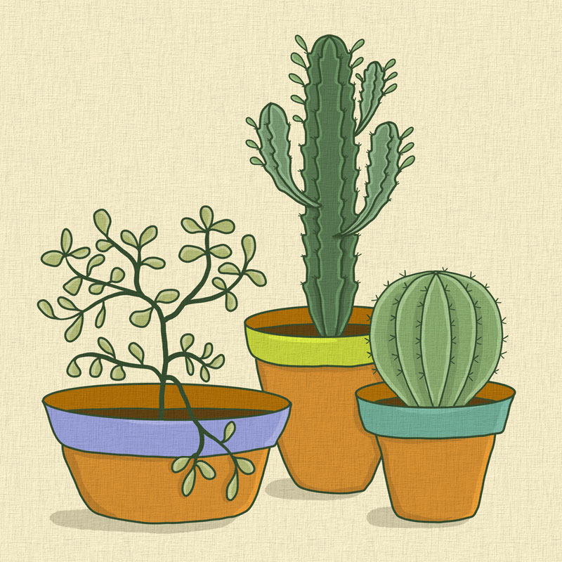 succulents tile