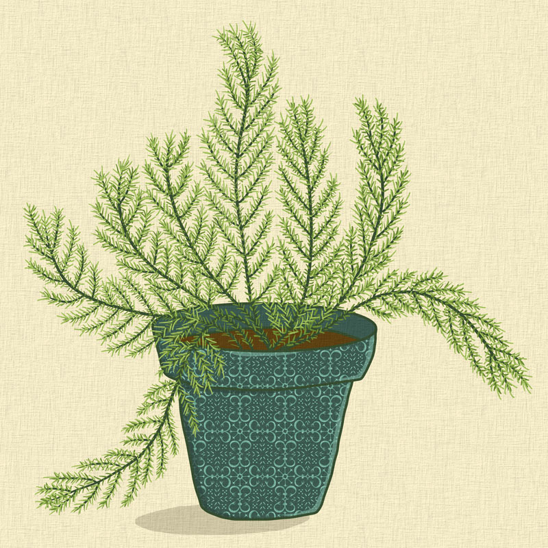 asparagus fern tile