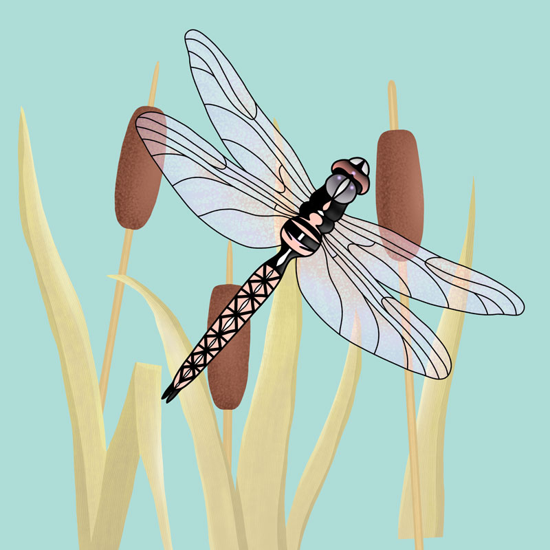 dragonfly on blue tile