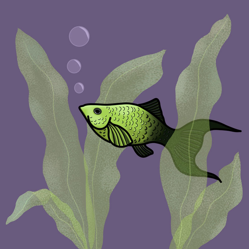green and black fish tile