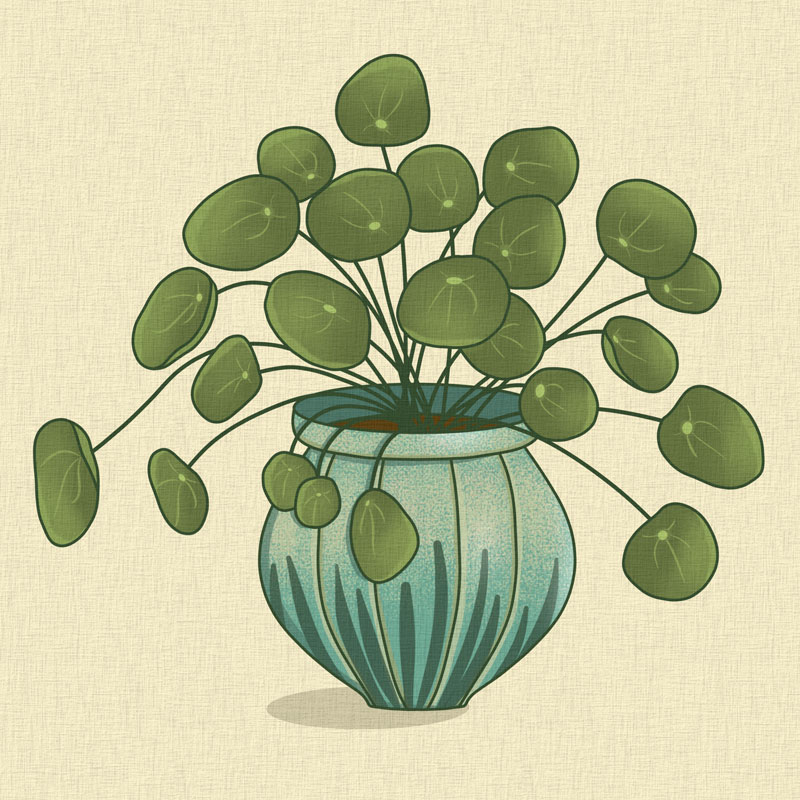 money plant tile